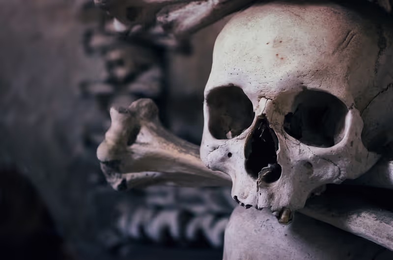 Prague Private Tour - The Sedlec Ossuary (Bone Church)