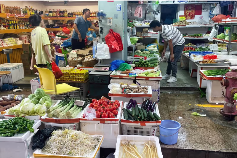 Shenzhen Private Tour - Urban village