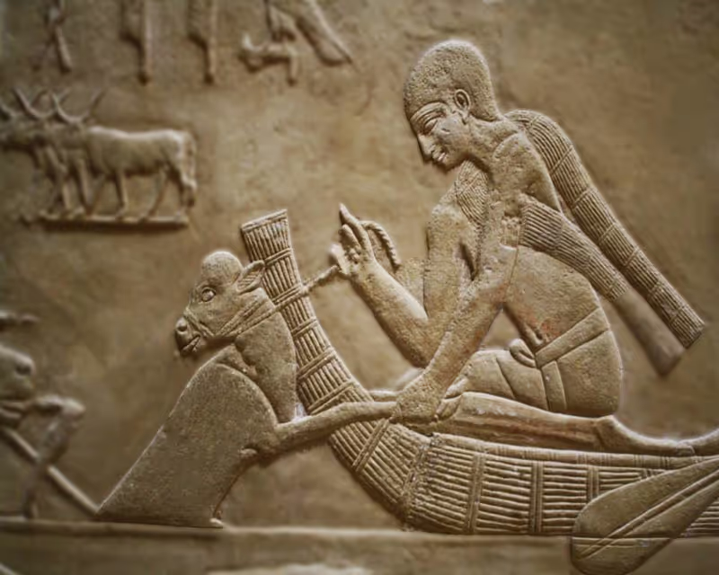 Cairo Private Tour - A nobel Tomb at Saqqara