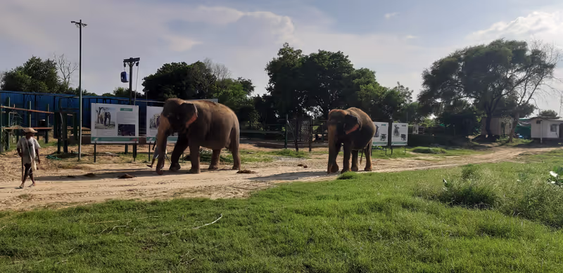 Delhi Private Tour - 