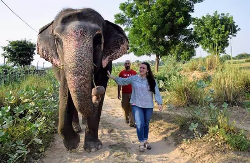 Delhi Private Tour - 
