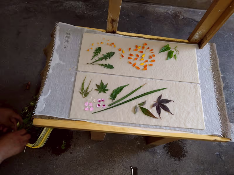 Saitama Private Tour - My paper ready for coating and drying