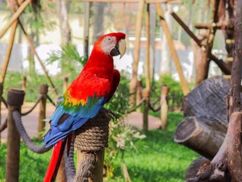 Rio de Janeiro Private Tour - 