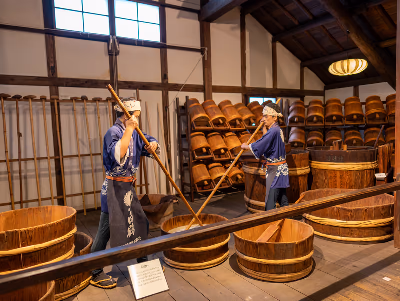 Osaka Private Tour - 