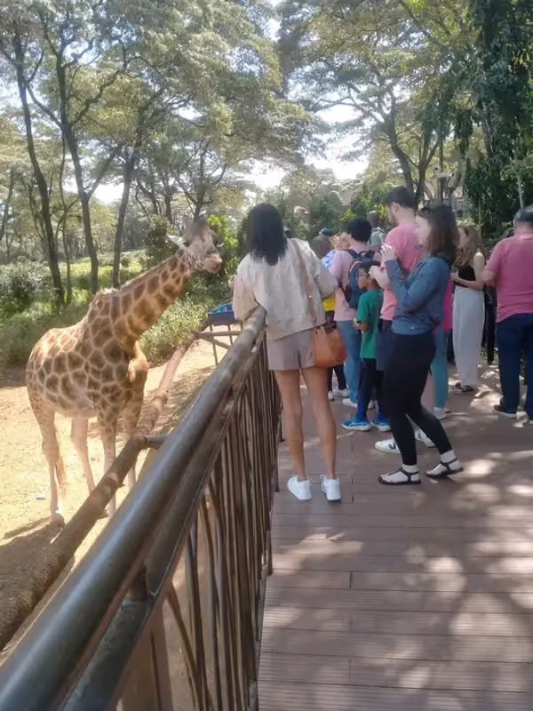 Nairobi Private Tour - 
