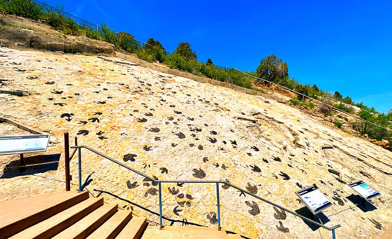 Denver Private Tour - See Dinosaur Ridge