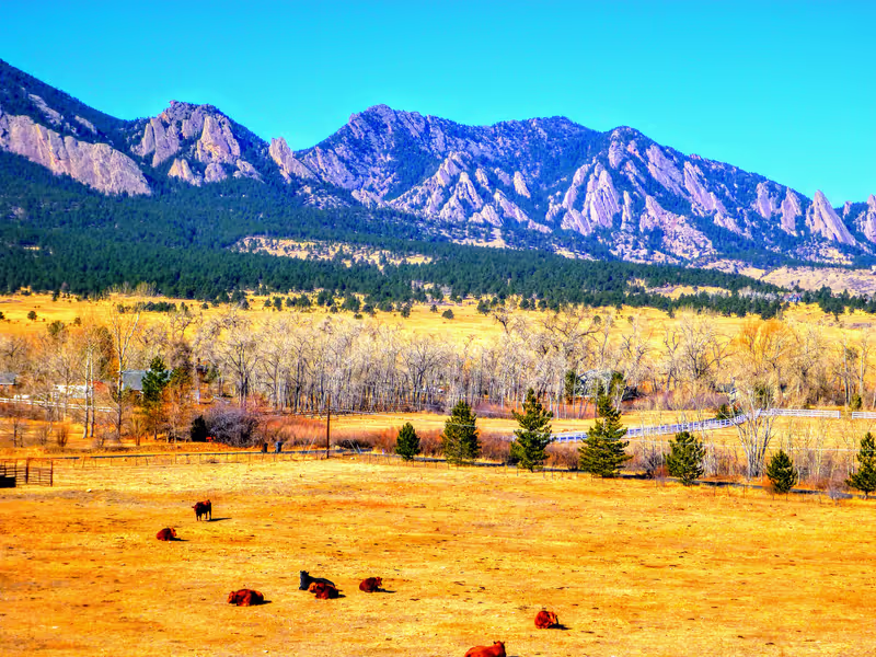 Denver Private Tour - Amazing views