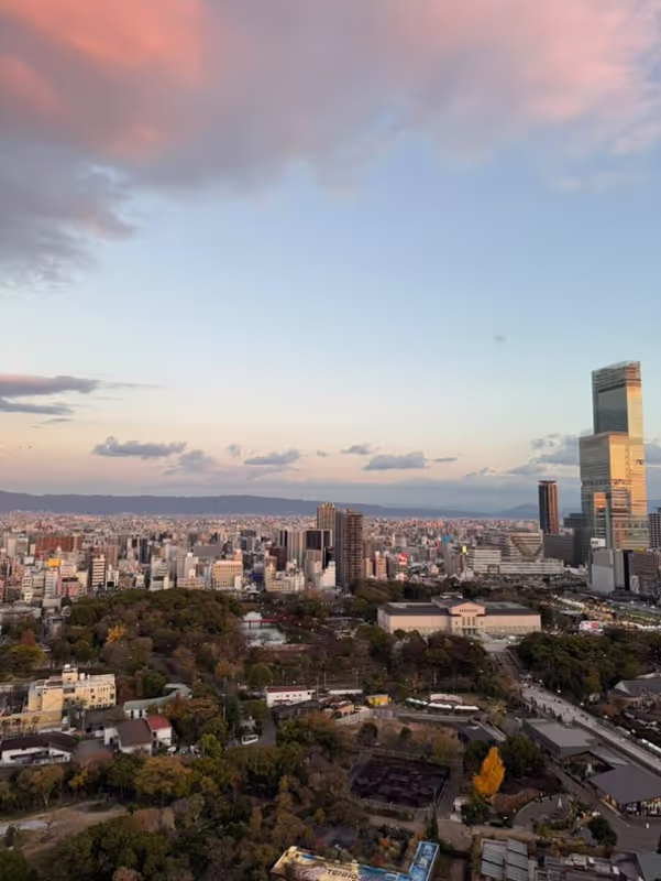 Osaka Private Tour - view from Tsutenkaku