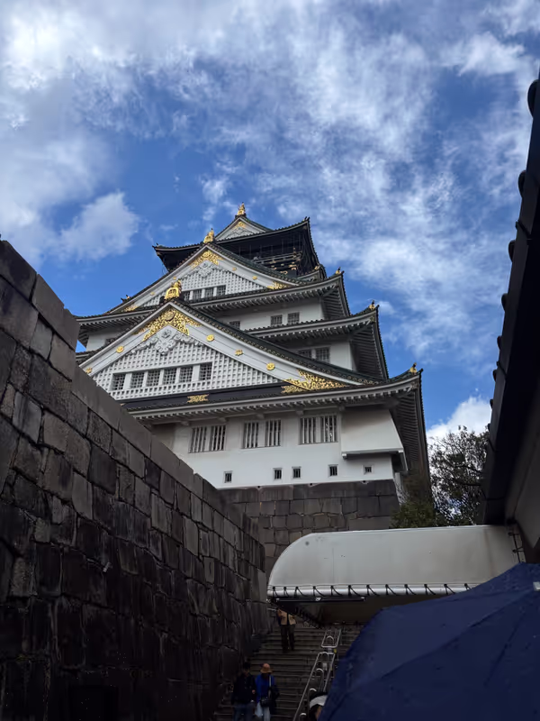 Osaka Private Tour - osaka castle