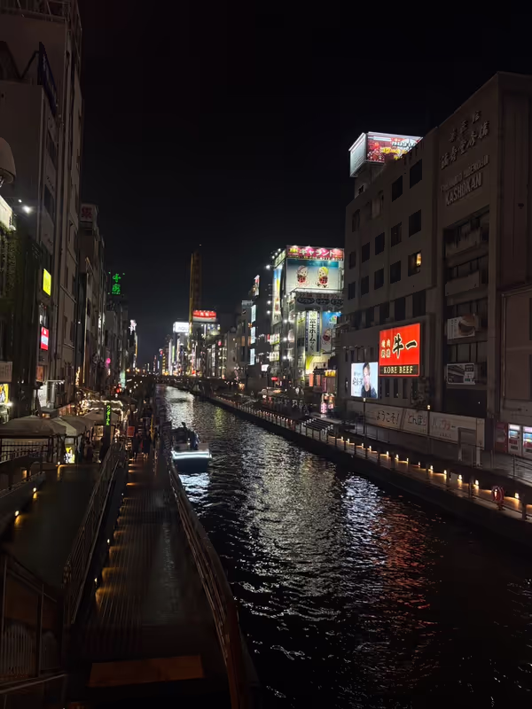 Osaka Private Tour - view at Dotonbori