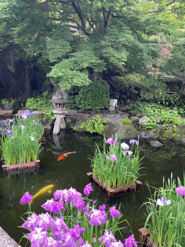 Kamakura Private Tour - The serene gardens of Hase-dera Temple