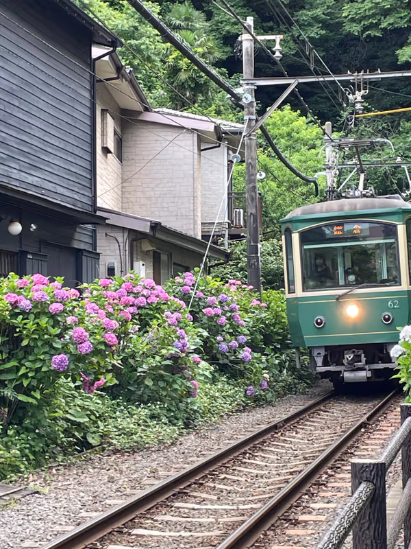Kamakura Private Tour - A charming ride on the nostalgic Enoden