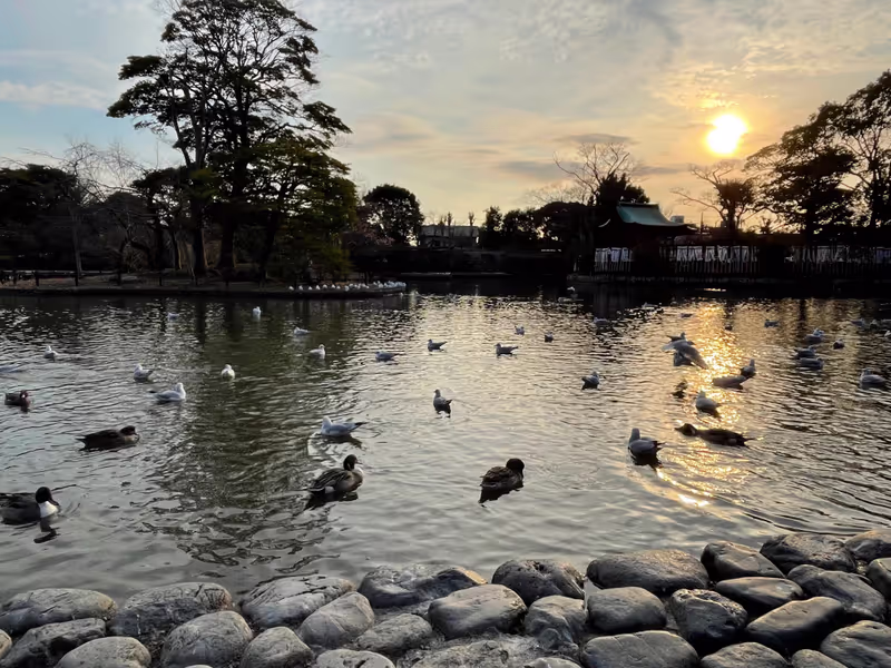 Kamakura Private Tour - Tsurugaoka Hachimangu winter