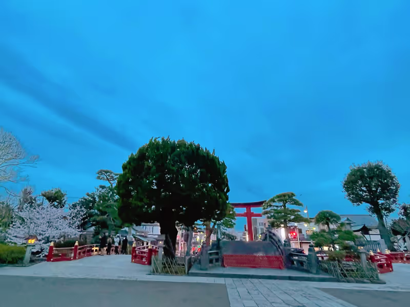 Kamakura Private Tour - Tsurugaoka Hachinamgu evening