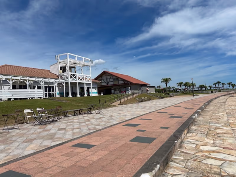 Miyazaki Private Tour - Sea Gaia Coast