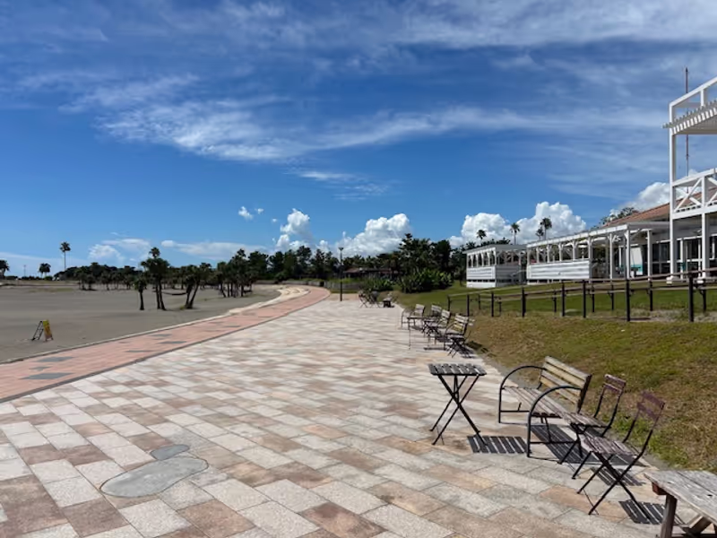 Miyazaki Private Tour - Sea Gaia Coast