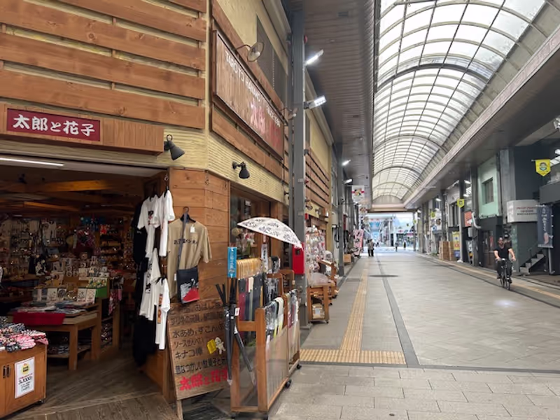 Miyazaki Private Tour - Arcade City Center