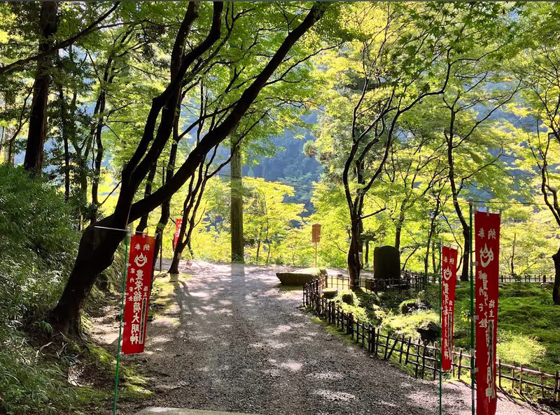 Nagoya Private Tour - 