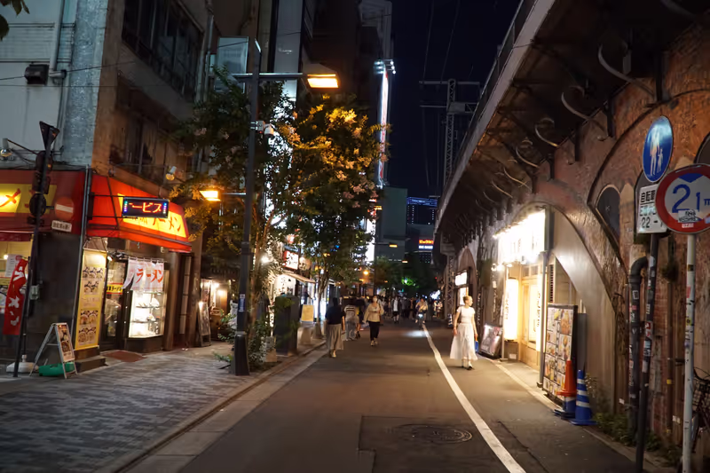 Tokyo Private Tour - 
