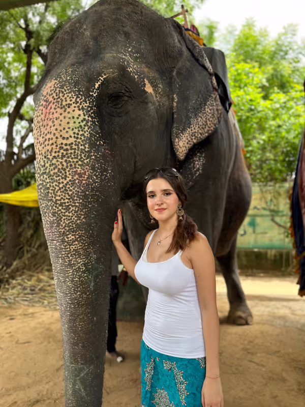 Jaipur Private Tour - Elephant camp