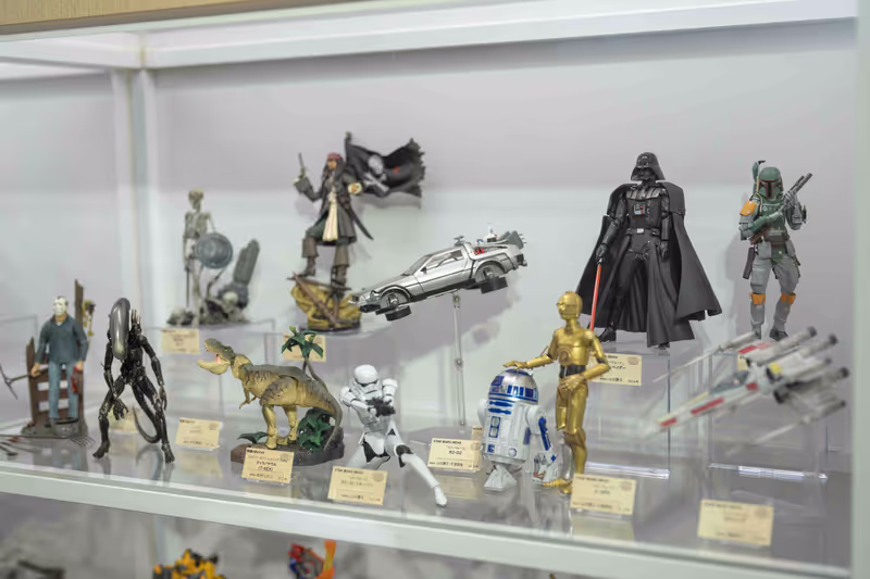 Kochi Private Tour - Star Wars
