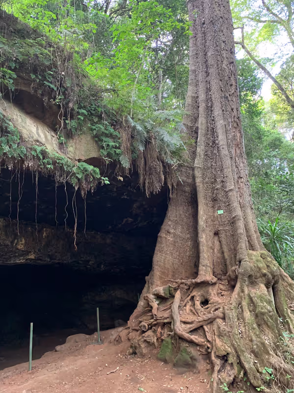 Nairobi Private Tour - Historic Mau Mau caves in Karura Forest, Nairobi