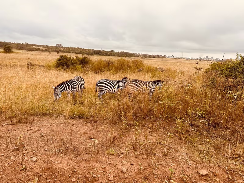 Nairobi Private Tour - 