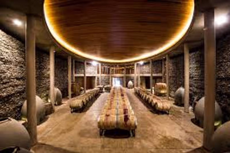 Santiago Private Tour - Awesome