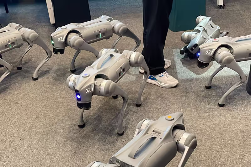 Shenzhen Private Tour - Operating robot dog