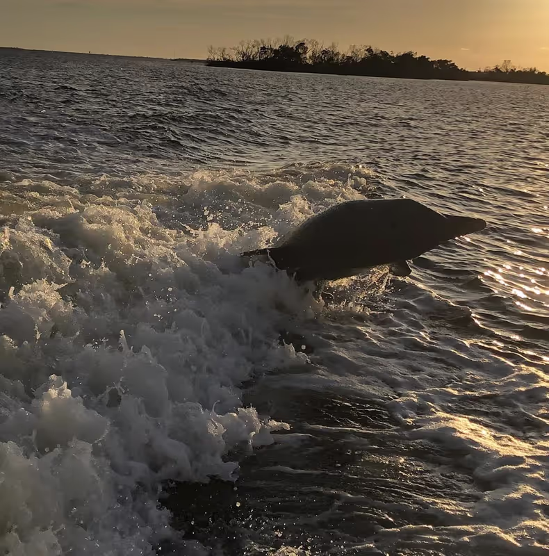 Florida Private Tour - 
