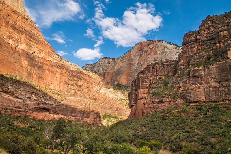 Las Vegas Private Tour - Zion national park