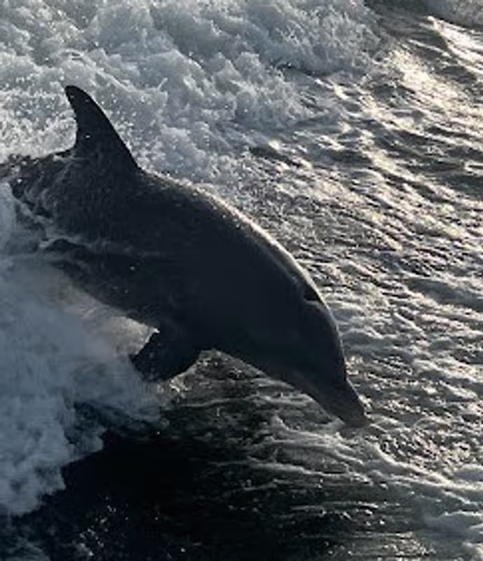 Florida Private Tour - 