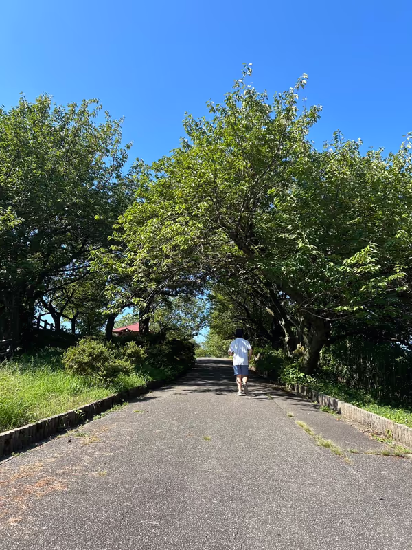 Toyama Private Tour - A hiking road