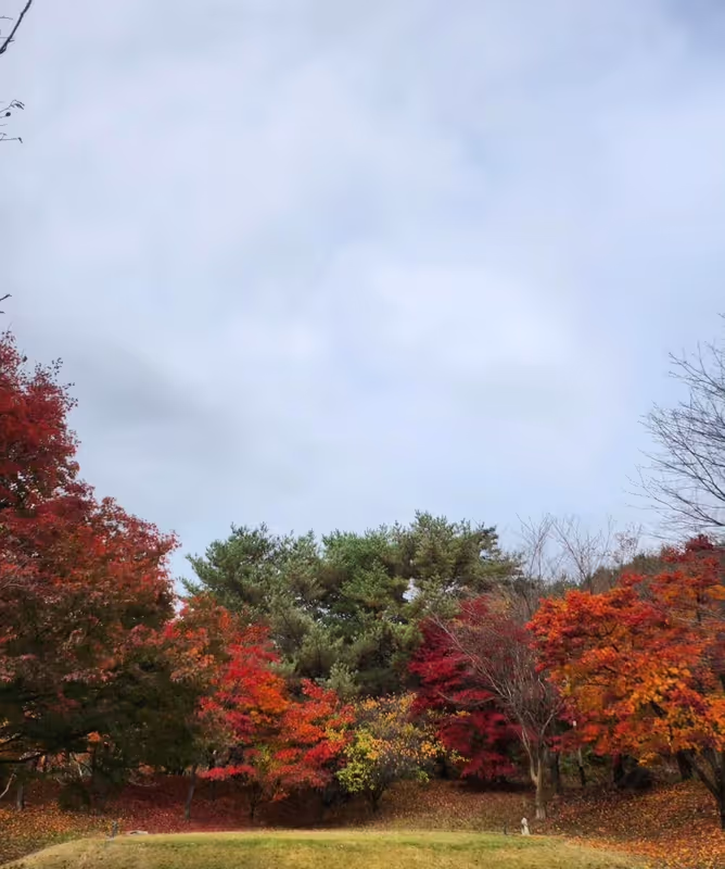 Seoul Private Tour - Autumn color changes