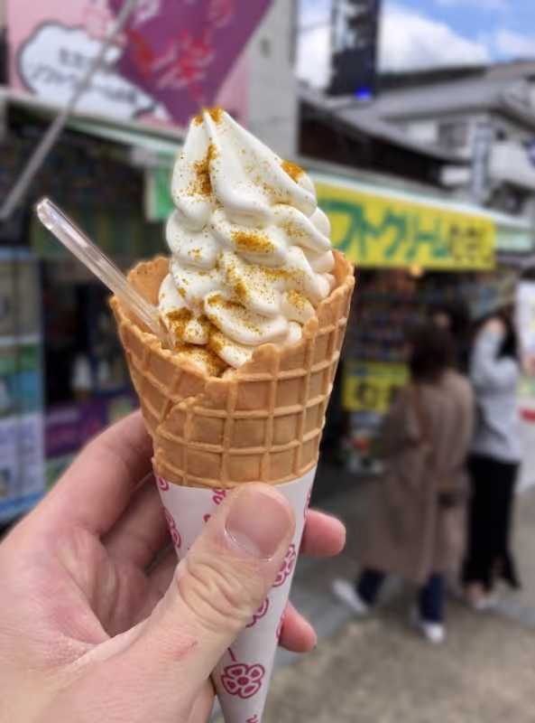 Nagano Private Tour - Maccha/Buckweat/more kinds of icecream