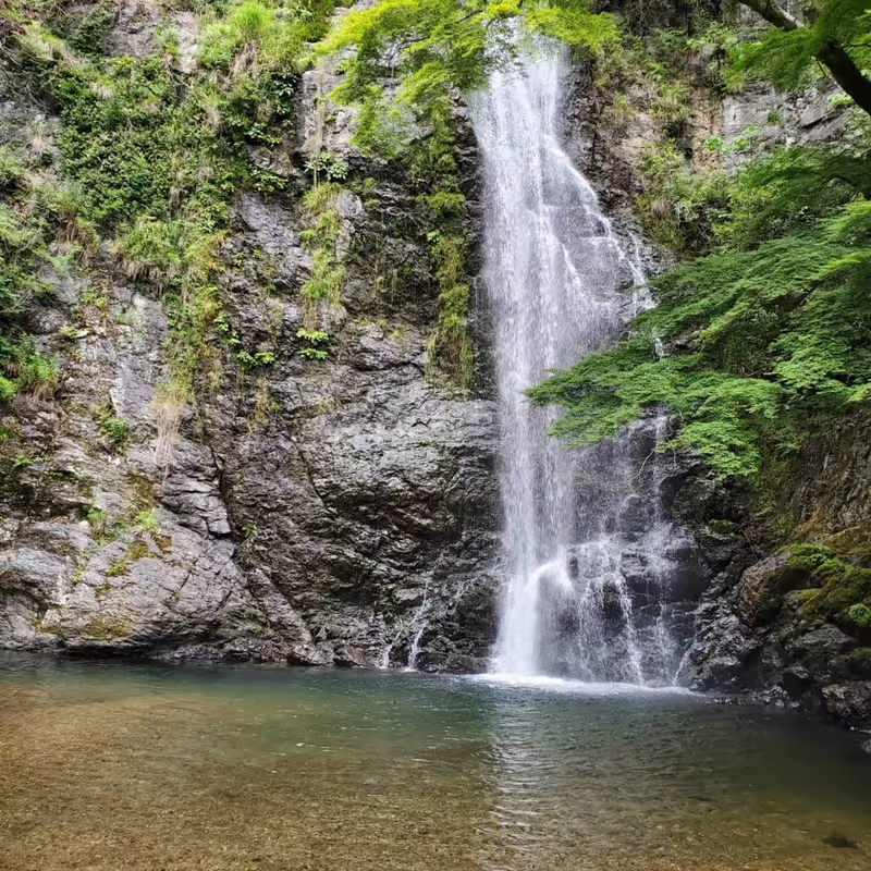 Osaka Private Tour - Minoh Waterfall in summer