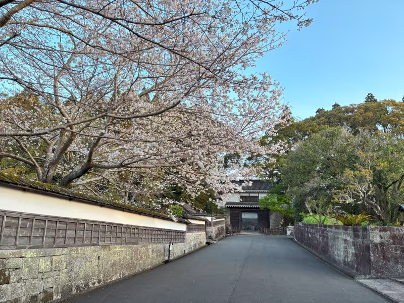 Miyazaki Private Tour - Obi castle town in spring.