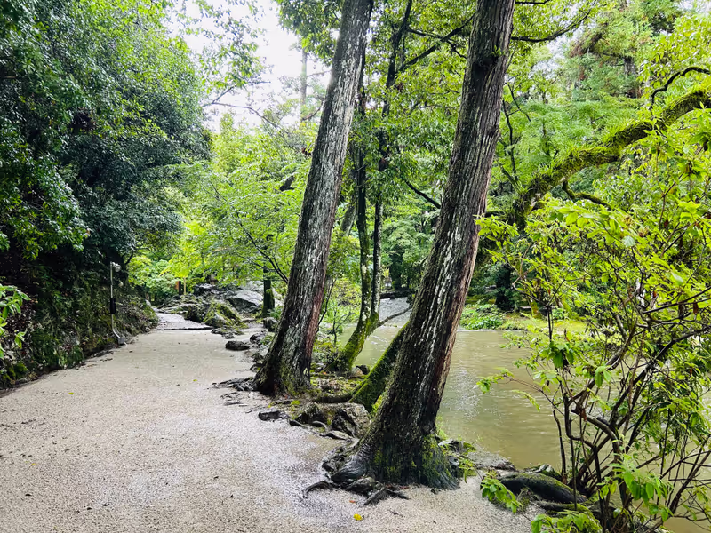 Kyoto Private Tour - Whispers of Kyoto