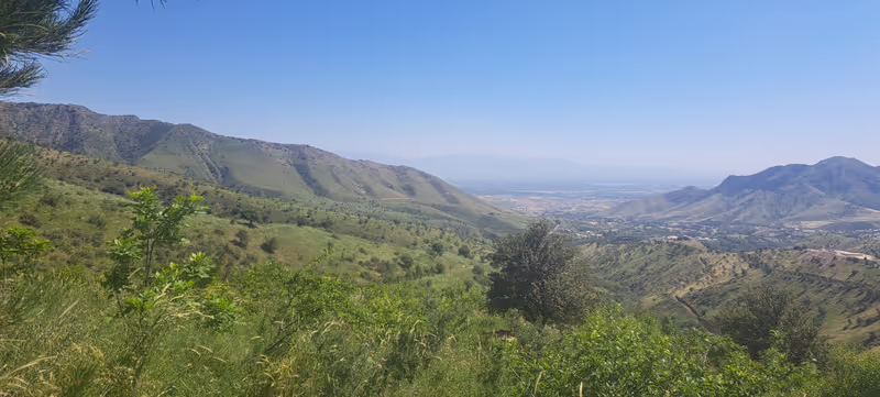 Samarkand Private Tour - 