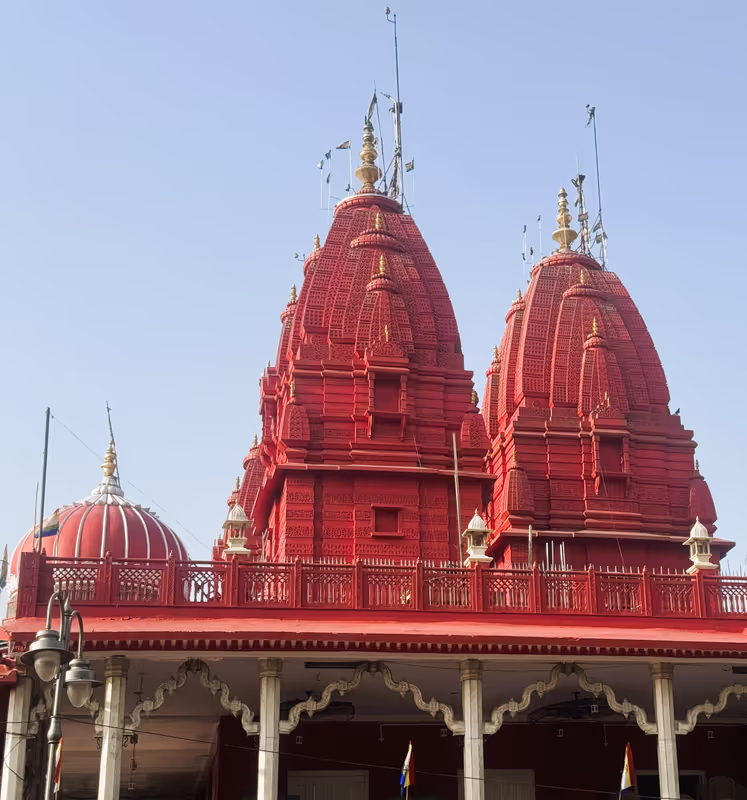 Delhi Private Tour - Architectural marvel of Indian temples