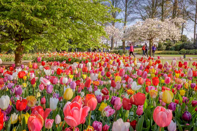 Amsterdam Private Tour - 