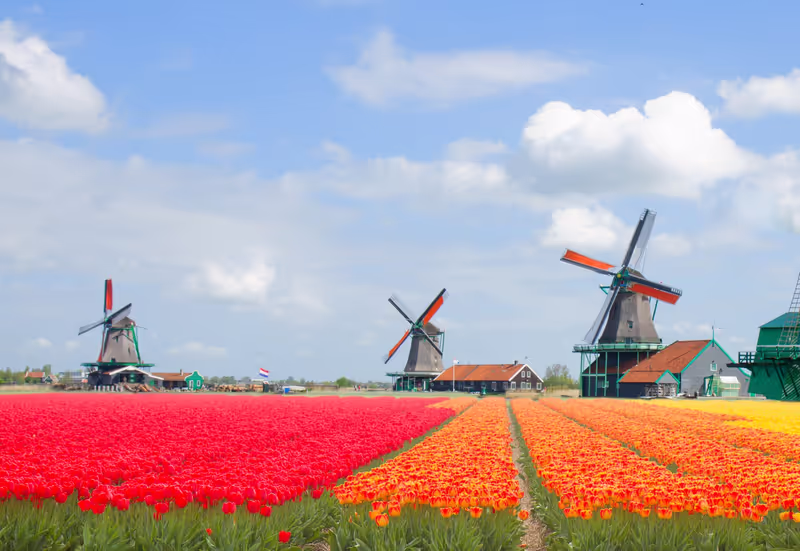 Amsterdam Private Tour - 
