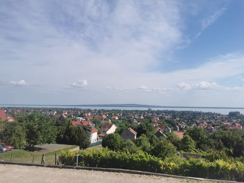 Budapest Private Tour - Balaton