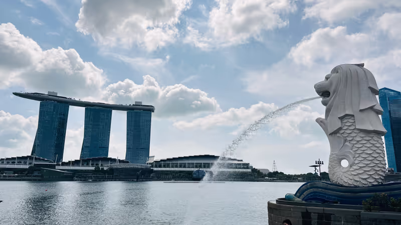 Singapore Private Tour - Merlion Park