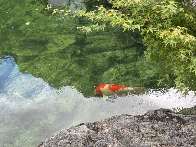 Nagasaki Private Tour - Kakiemon Kiln Japanese Garden