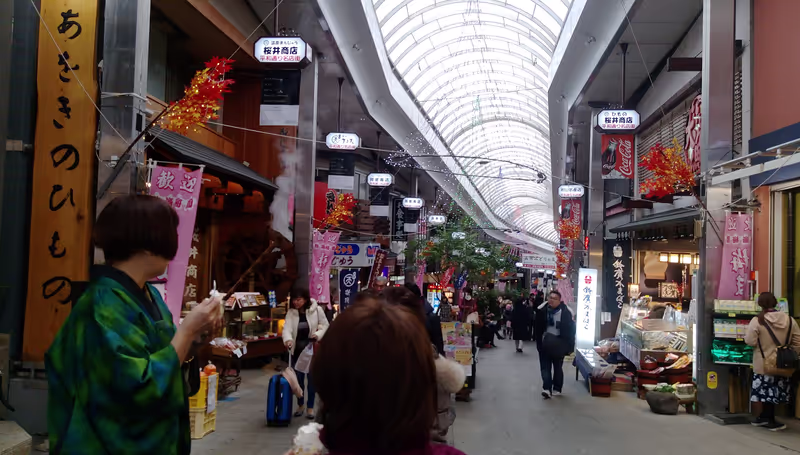 Shizuoka Private Tour - 