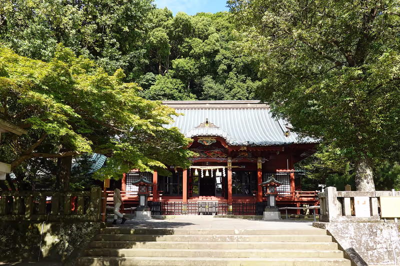 Shizuoka Private Tour - 