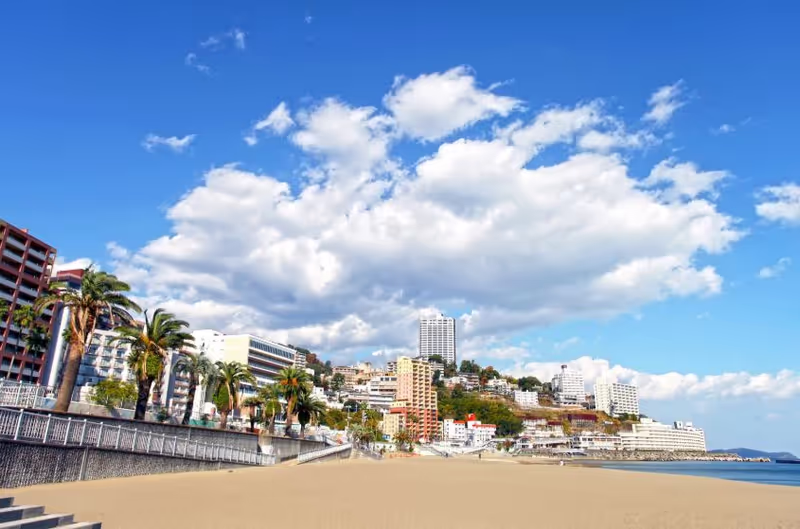 Shizuoka Private Tour - 