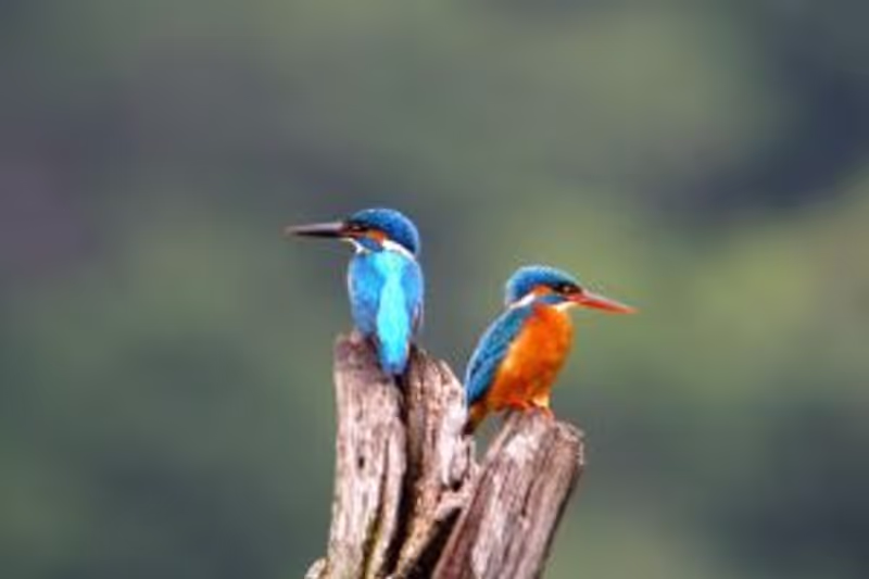 Trincomalee Private Tour - 