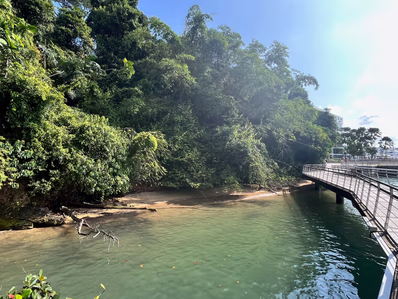 Singapore Private Tour - Boardwalk at Bukit Chermin